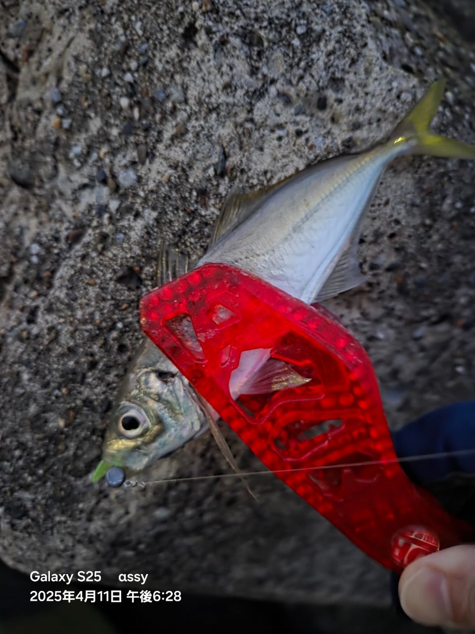 SHIMANO - としちん専用シマノ ソアレ SoaRe Ci4+ S608UL-S AJING Shimano Soare CI4+ AJING S608UL-S Light Game Spinning Rod