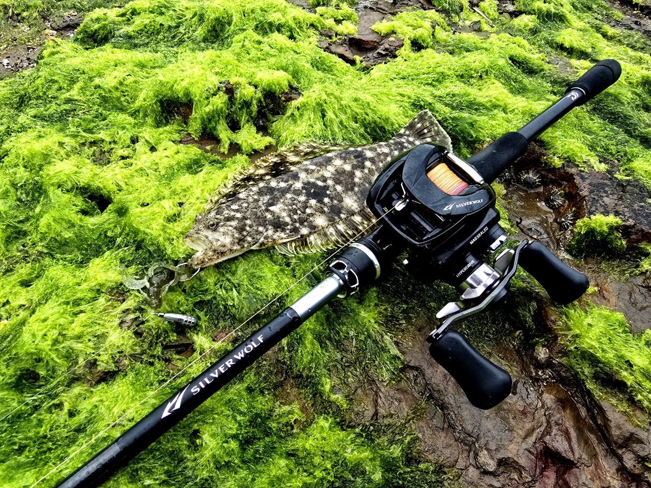 DAIWA 22シルバーウルフ SV TW PE スペシャル 1000XHの最安値 DAIWA 22シルバーウルフ SV TW PE スペシャル 1000XHの最安値