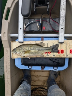 釣果