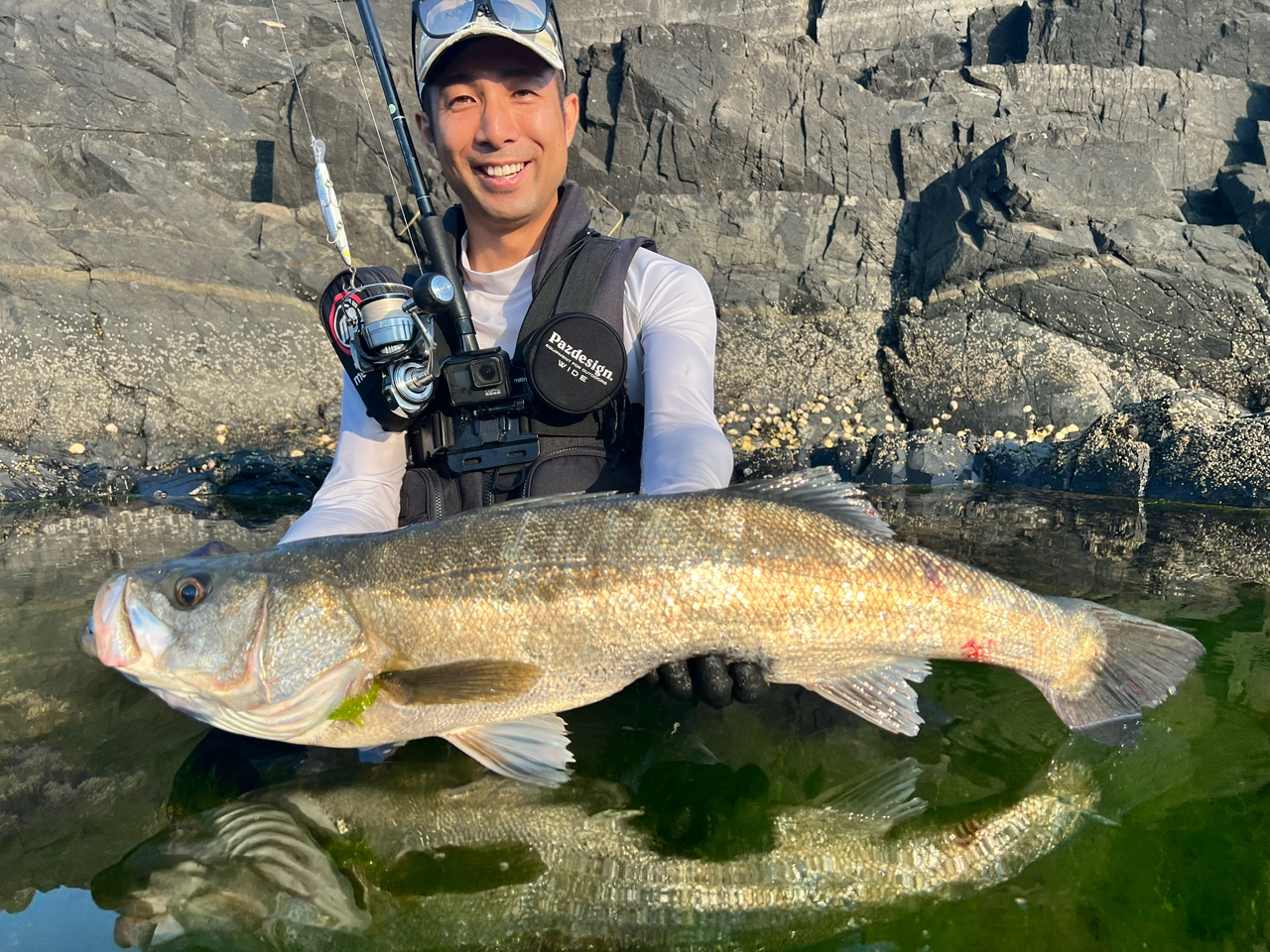 DAIWA 21セルテート SW 5000-XHの最安値・インプレ・釣果 | 本音