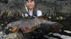 アイナメの釣果
