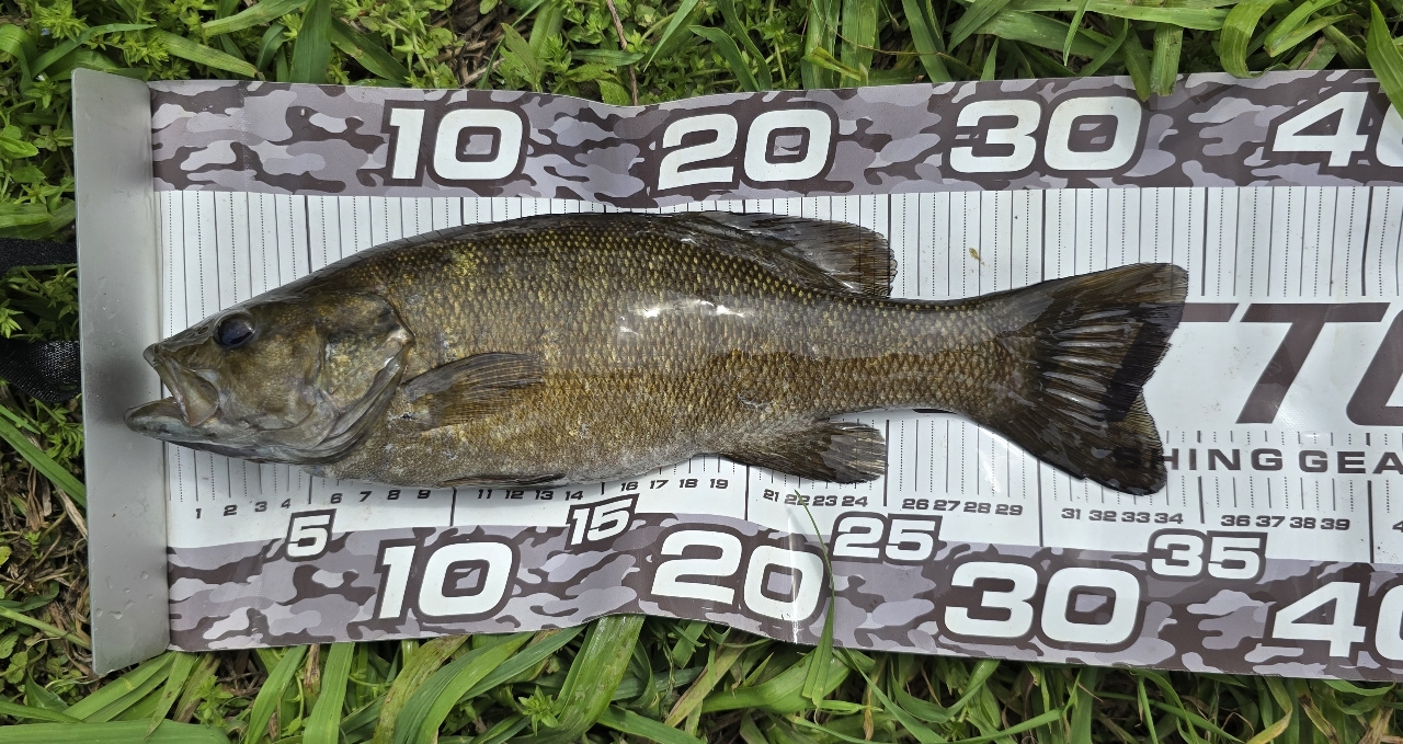 SHIMANO 18ポイズン アドレナ 163MLの最安値・インプレ・釣果