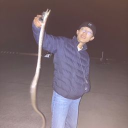 ダイナンウミヘビ