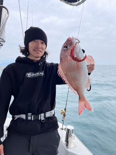 和歌山北港魚つり公園の釣果・釣り場情報 - アングラーズ | 釣果