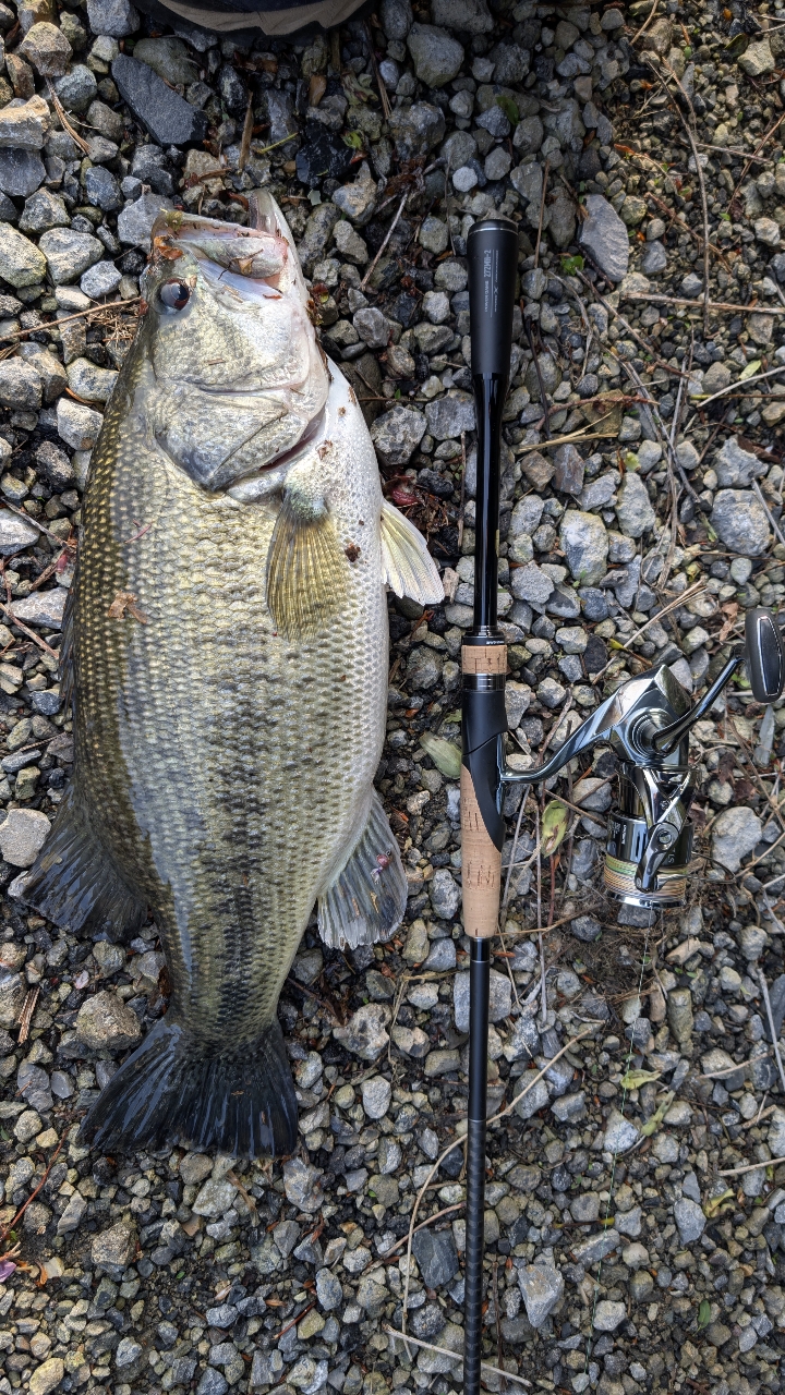 SHIMANO 22ステラ 3000MHGの最安値・インプレ・釣果 | 本音の