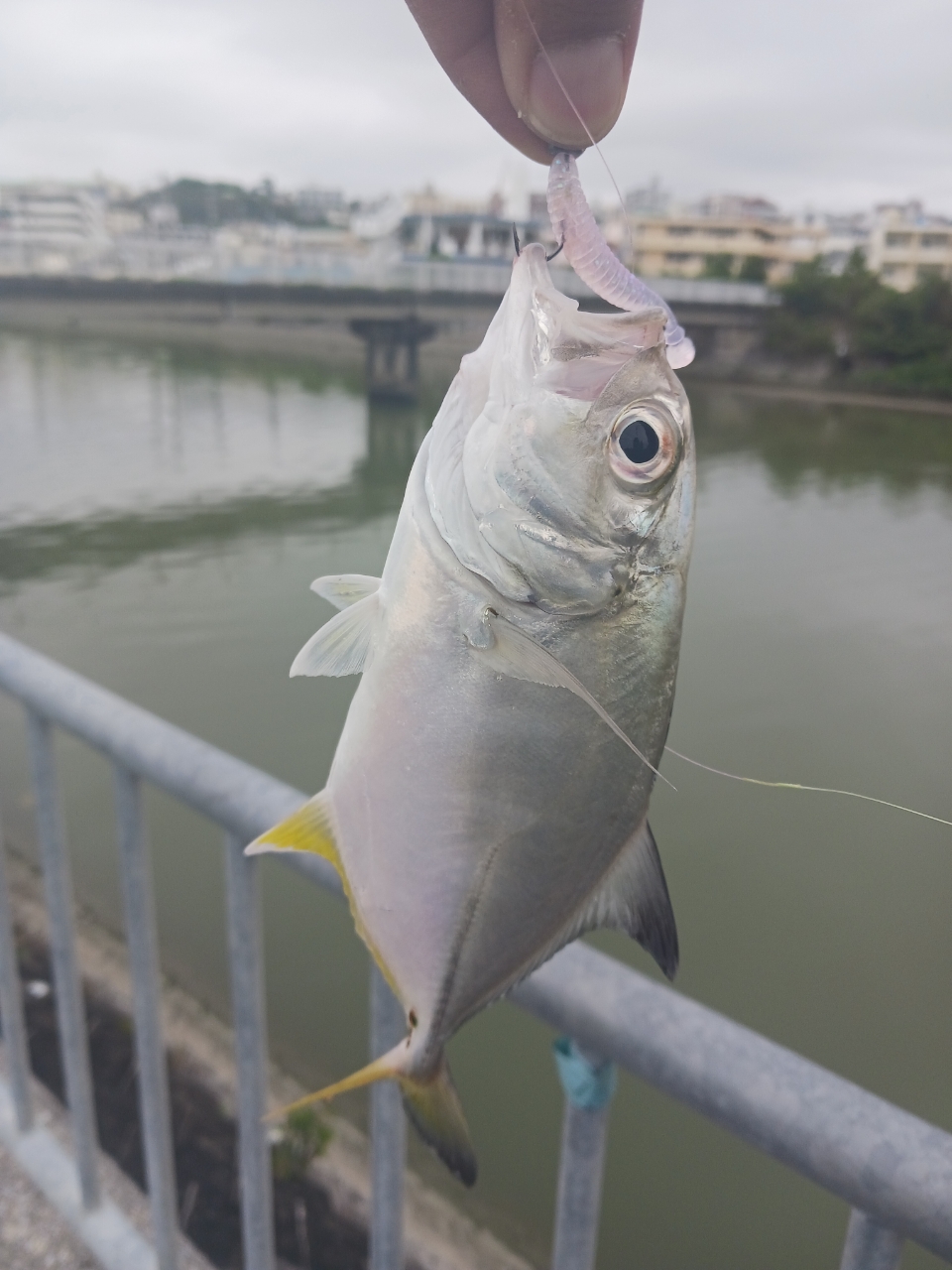 AbuGarcia オーシャンフィールド ボートシーバス OFBS-662Mの最