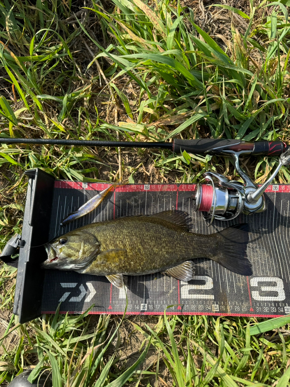 DAIWA 22イグジスト LT2500S-Hの最安値・インプレ・釣果 | 本音 DAIWA 22イグジスト LT2500S-Hの最安値・インプレ・釣果 | 本音