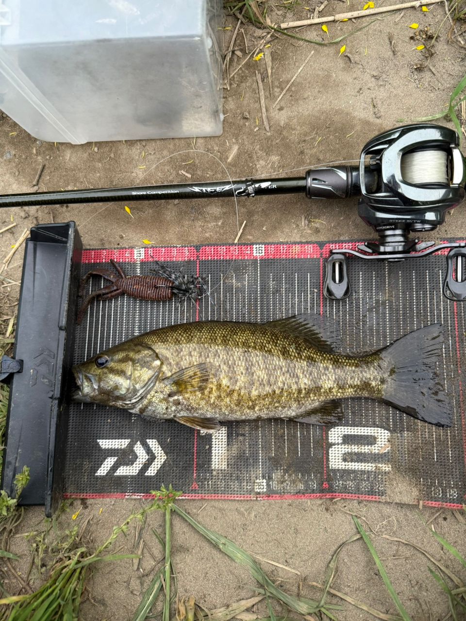 スモールマウスバス