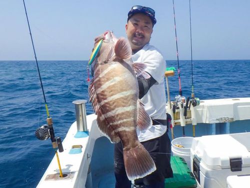 マハタの釣果