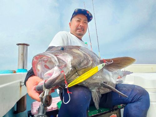 イシナギの釣果