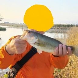 ラージマウスバス