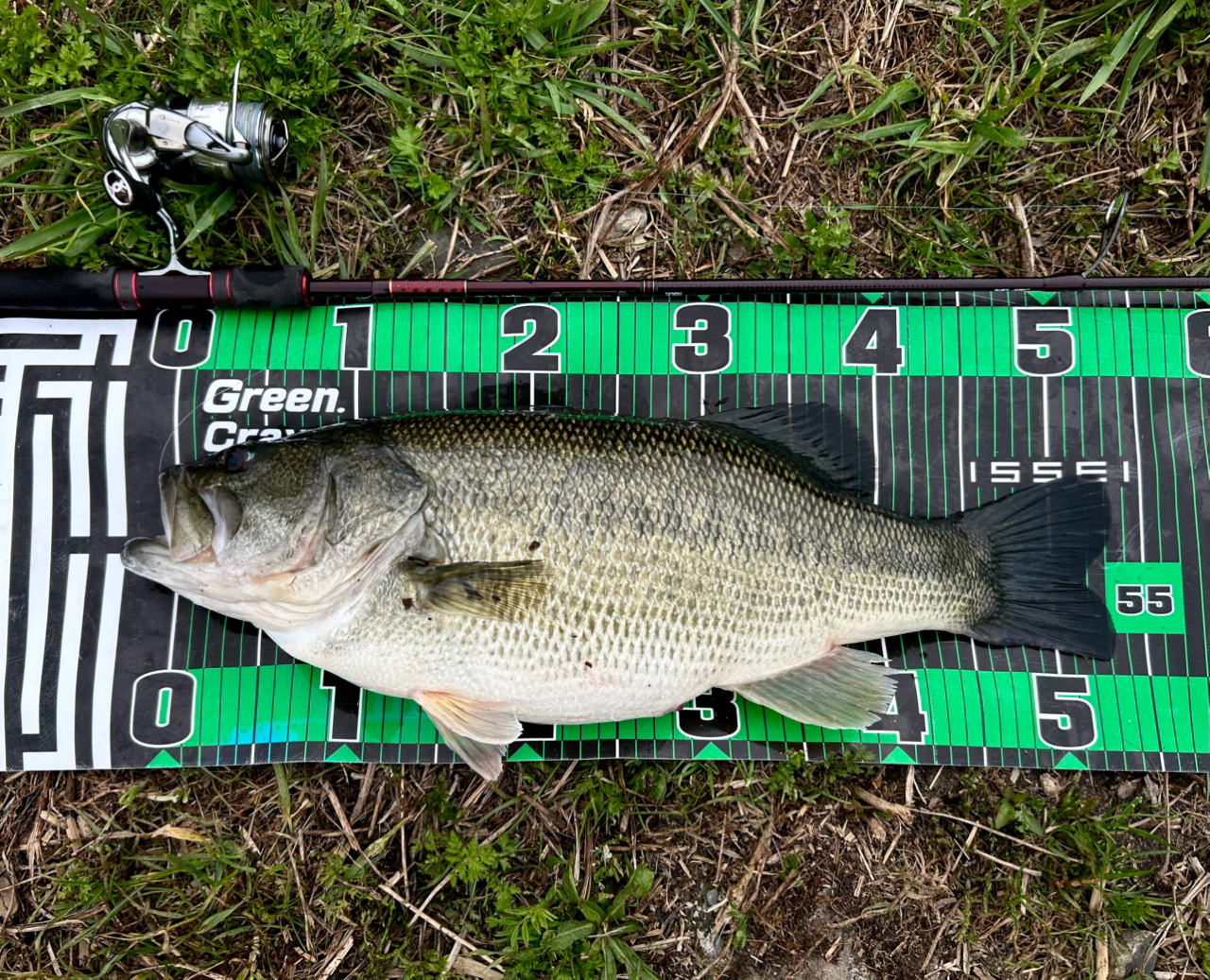 DAIWA 13ハートランド AGS 721MLFS-SV AGS20の最安値・インプレ DAIWA 13ハートランド AGS 721MLFS-SV AGS20の最安値・インプレ