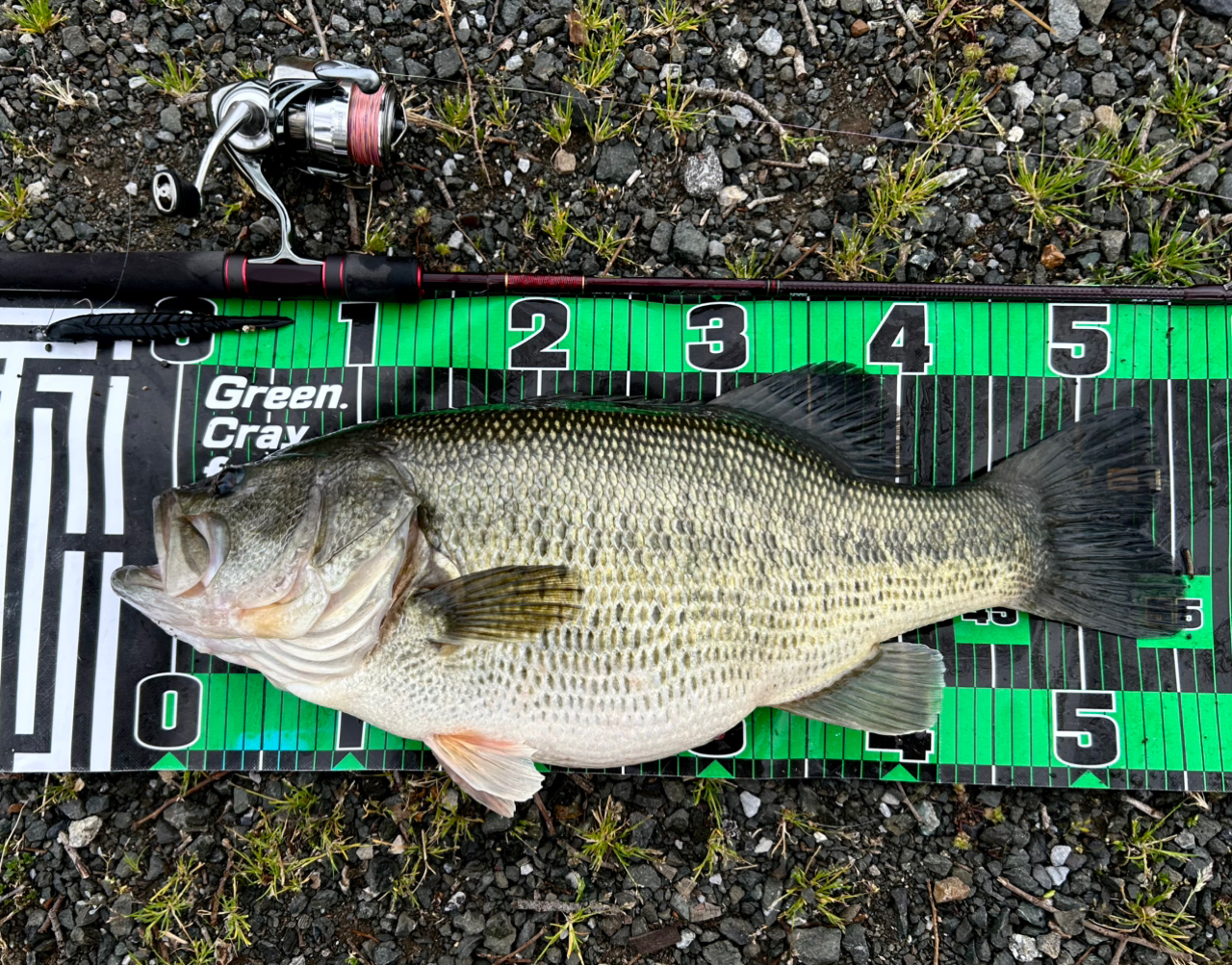 DAIWA 22イグジスト LT2500Sの最安値・インプレ・釣果 | 本音の DAIWA 22イグジスト LT2500Sの最安値・インプレ・釣果 | 本音の