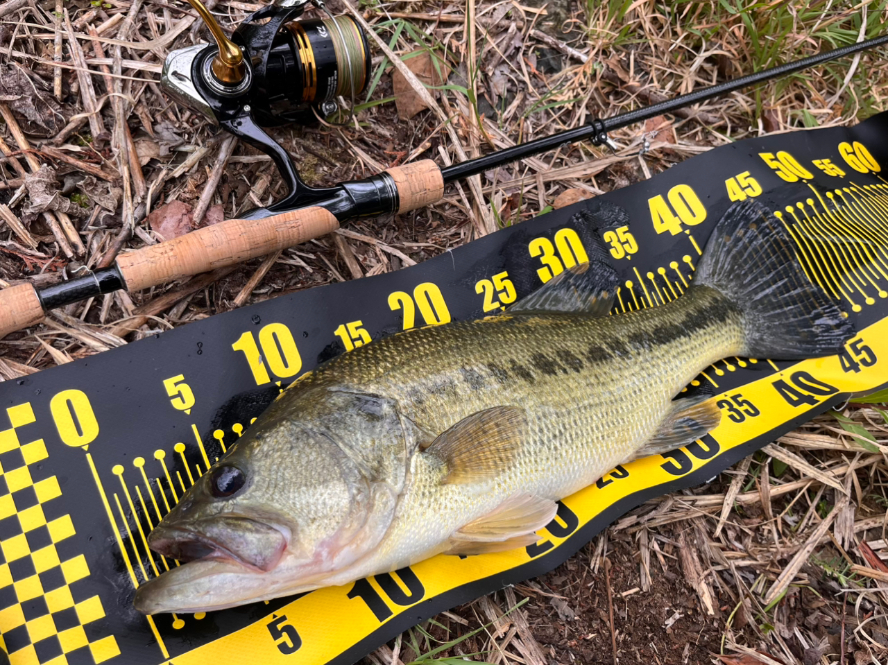 DAIWA 23レガリス LT2500S-XHの最安値・インプレ・釣果 | 本音の