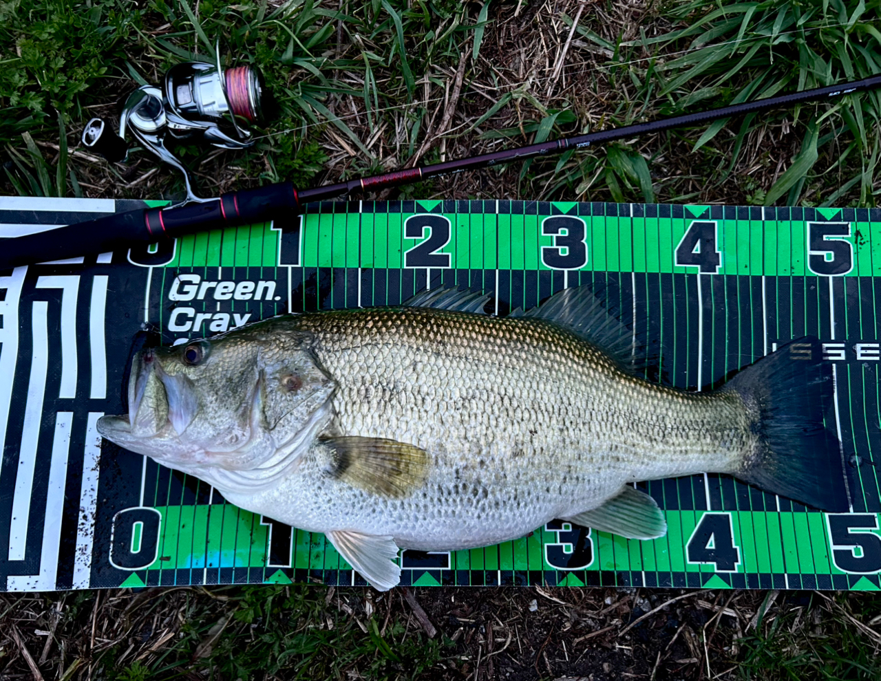 DAIWA 22イグジスト LT2500Sの最安値・インプレ・釣果 | 本音の