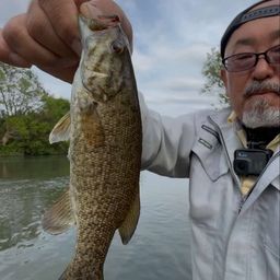 スモールマウスバス