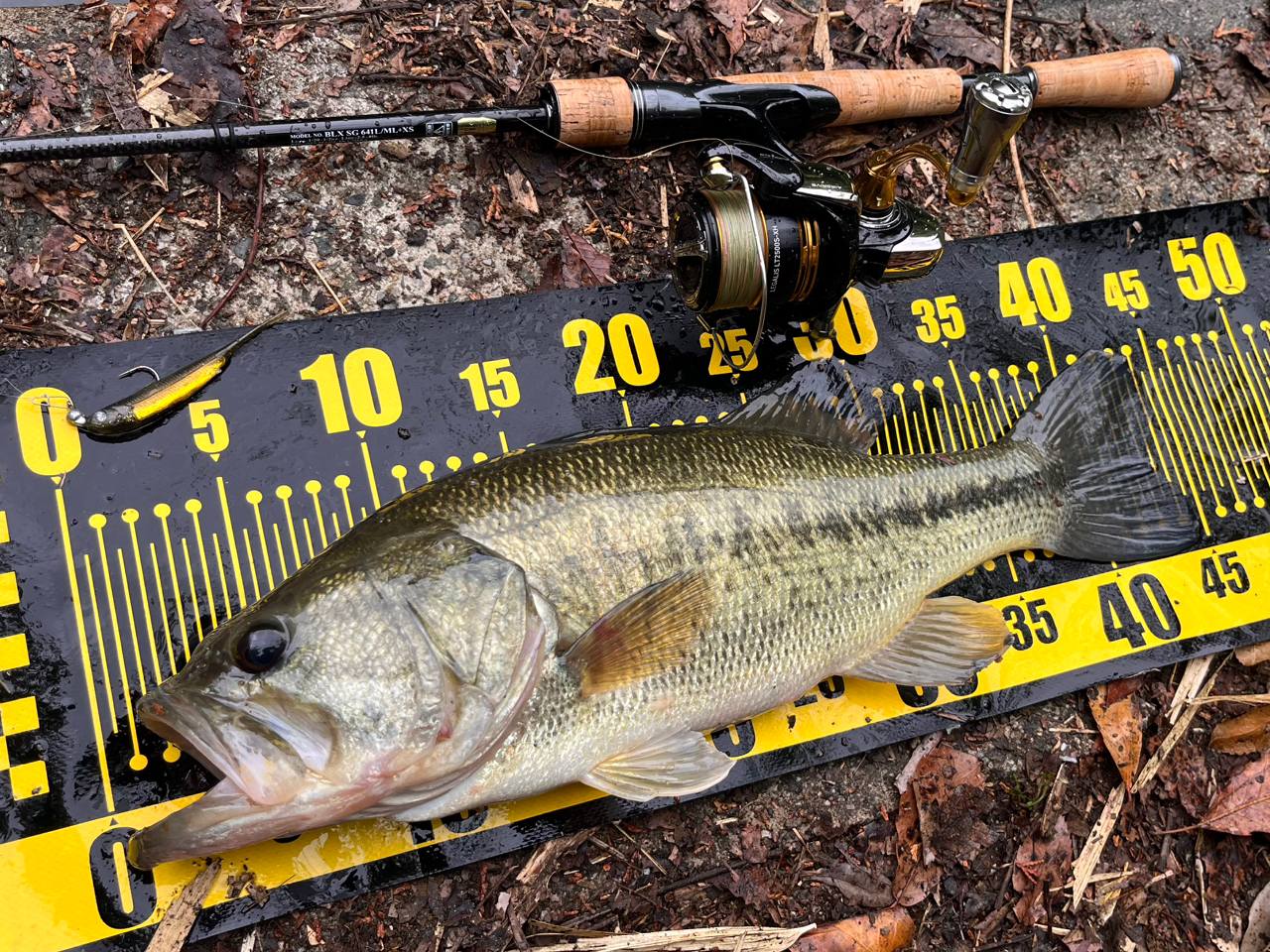 DAIWA 23レガリス LT2500S-XHの最安値・インプレ・釣果 | 本音の