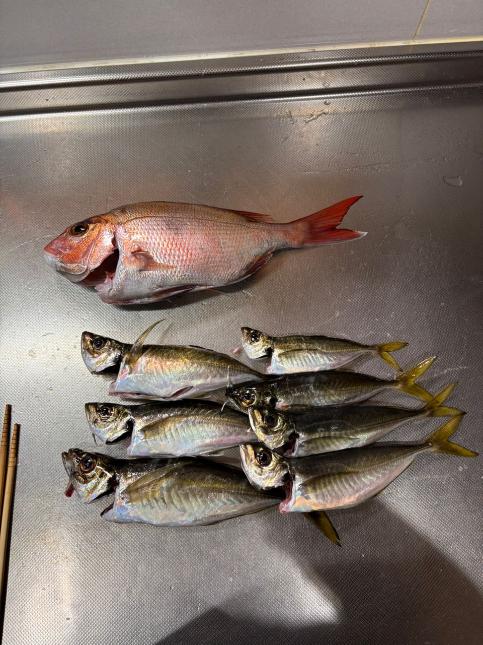 tsujiken5688さんの釣果 2枚目の画像