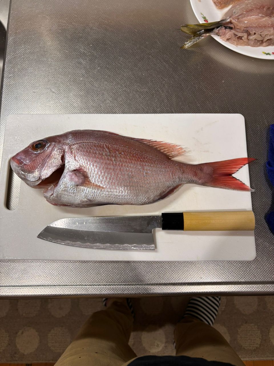 tsujiken5688さんの釣果 3枚目の画像