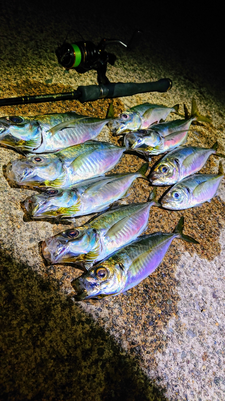 SHIMANO 22ソアレ XR C2000SSHGの最安値・インプレ・釣果 | 本音 SHIMANO 22ソアレ XR C2000SSHGの最安値・インプレ・釣果 | 本音