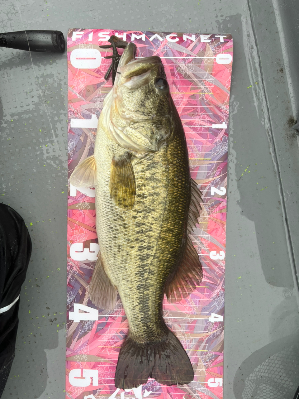 SHIMANO 18ポイズン アドレナ 166MHの最安値・インプレ・釣果