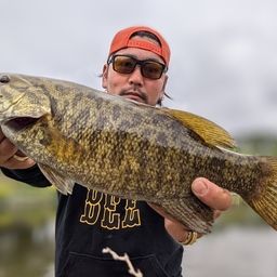 スモールマウスバス