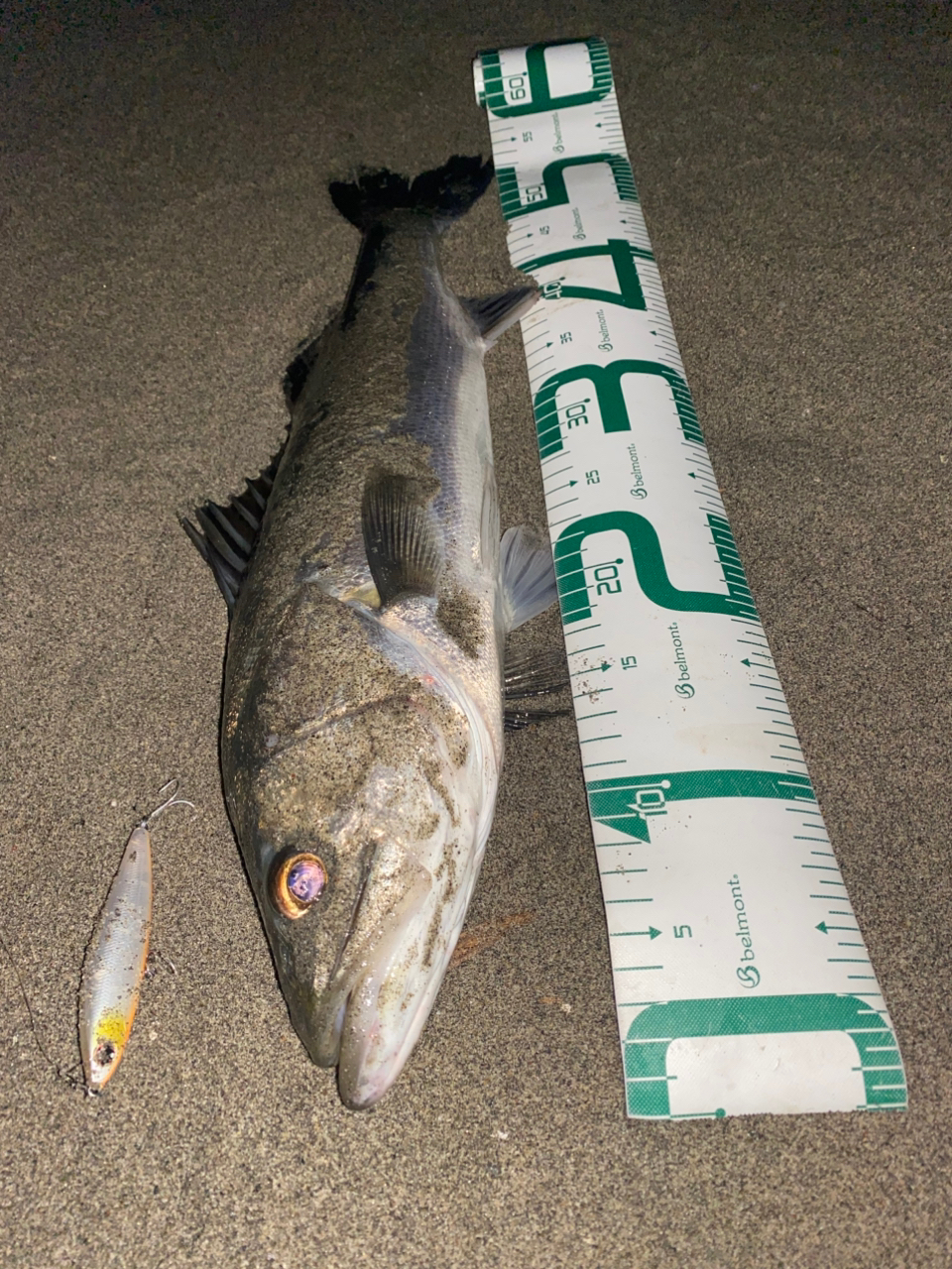 SHIMANO 18エクスセンスジェノス S97MH/Fの最安値・インプレ SHIMANO 18エクスセンスジェノス S97MH/Fの最安値・インプレ