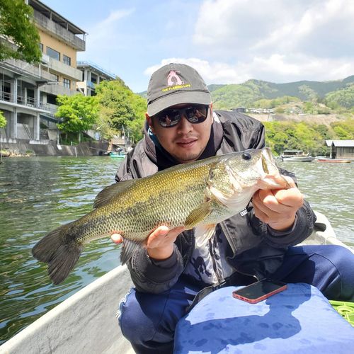 ラージマウスバスの釣果