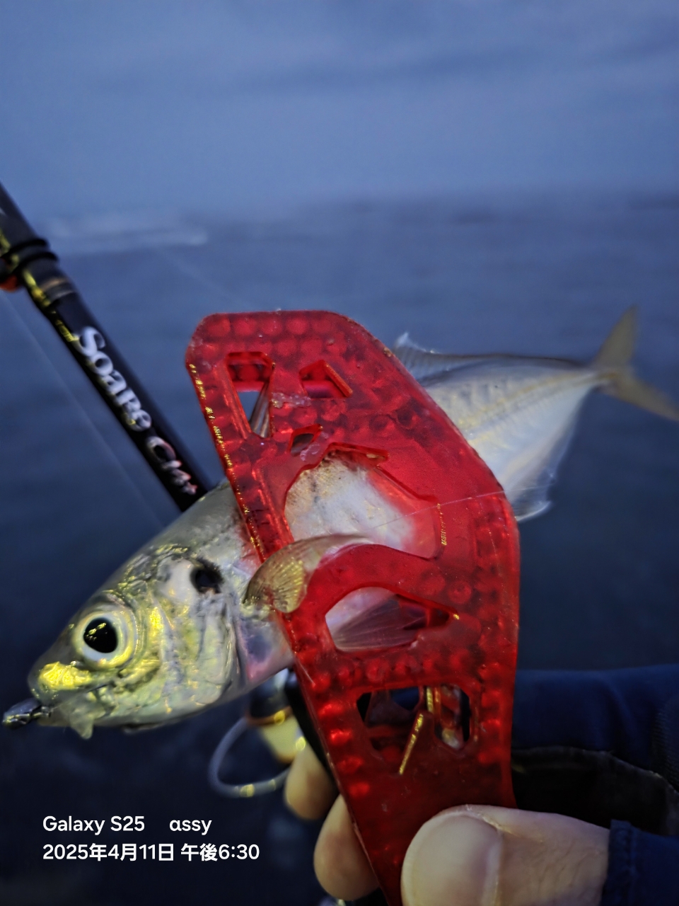 SHIMANO 17ソアレ CI4+ アジング S608UL-Sの最安値・インプレ SHIMANO 17ソアレ CI4+ アジング S608UL-Sの最安値・インプレ