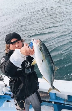ワラサの釣果