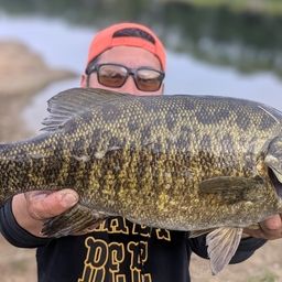 スモールマウスバス