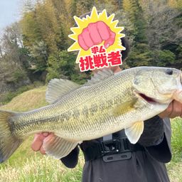 ブラックバス