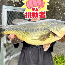 ブラックバス