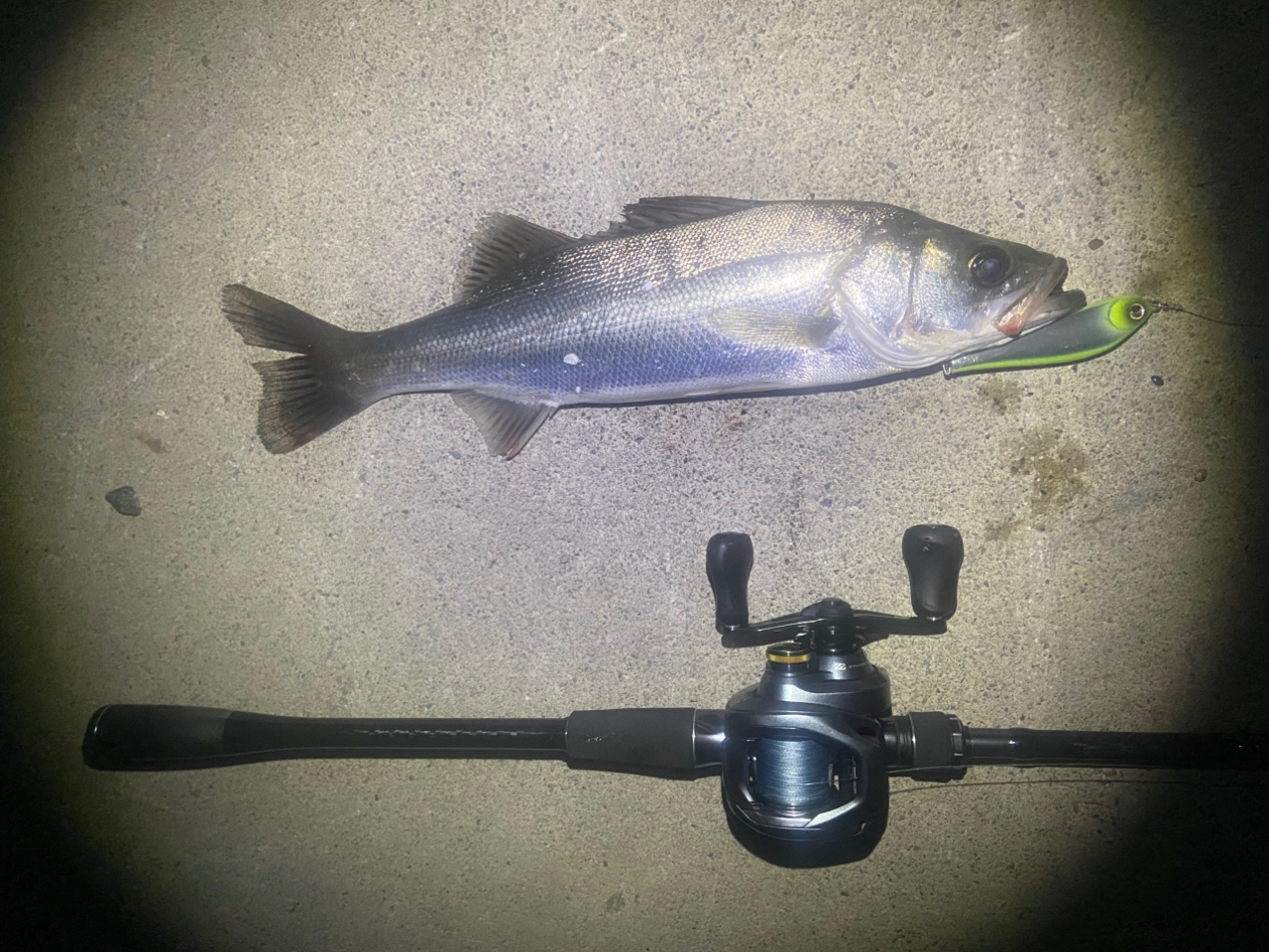 SHIMANO 20ルナミス B76MHの最安値・インプレ・釣果 | 本音の