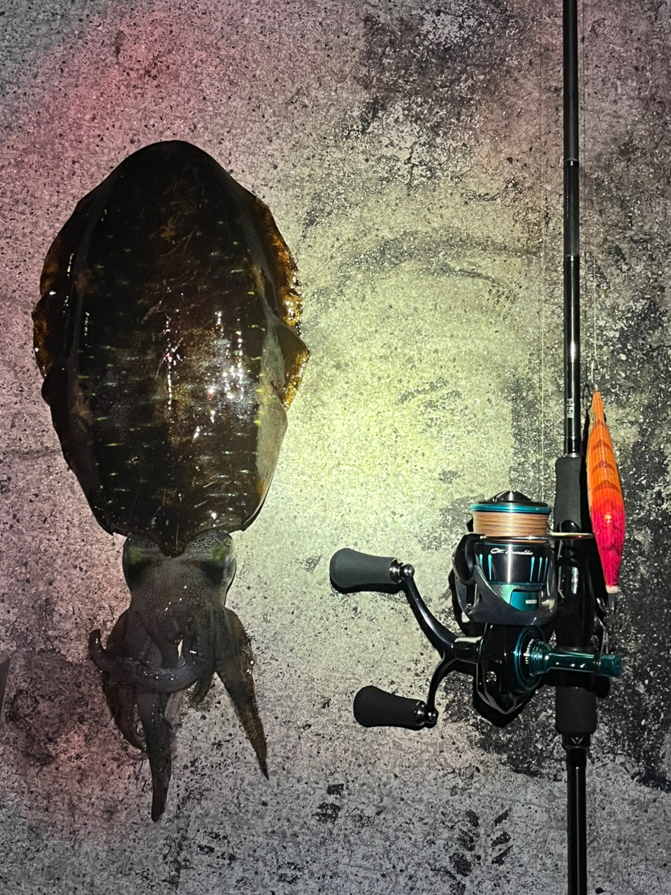 DAIWA 23エメラルダス RX LT2500-XH-DHの最安値・インプレ・釣果 DAIWA 23エメラルダス RX LT2500-XH-DHの最安値・インプレ・釣果