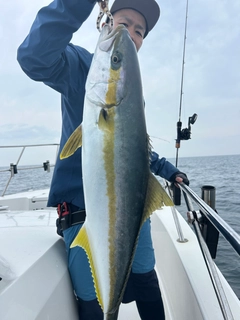 ヒラマサの釣果