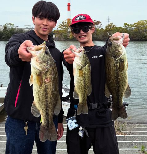 ブラックバスの釣果