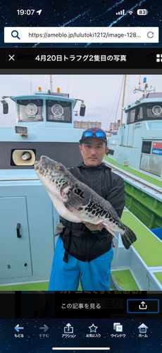 トラフグの釣果