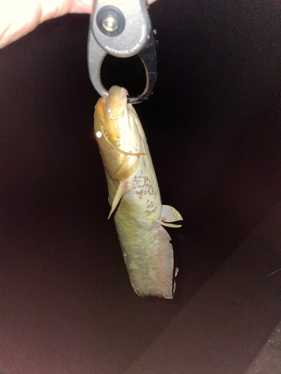 AbuGarcia ワールドモンスター WMCC-654M MGSの最安値・インプレ AbuGarcia ワールドモンスター WMCC-654M MGSの最安値・インプレ