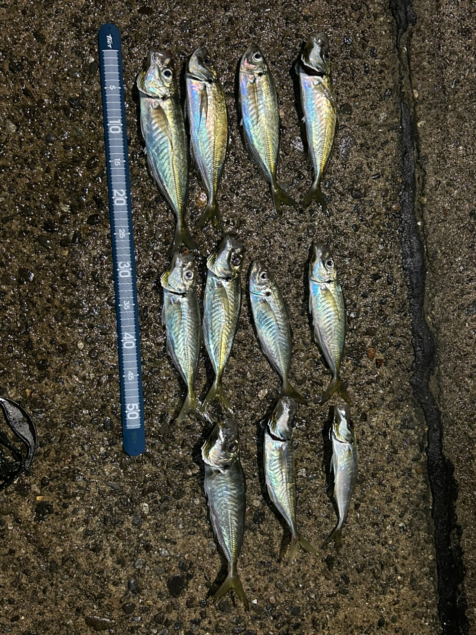 OLYMPIC 23コルト UX 23GCORUS-612L-HSの最安値・インプレ・釣果 OLYMPIC 23コルト UX 23GCORUS-612L-HSの最安値・インプレ・釣果