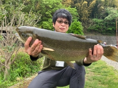 ニジマスの釣果