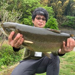 ニジマス