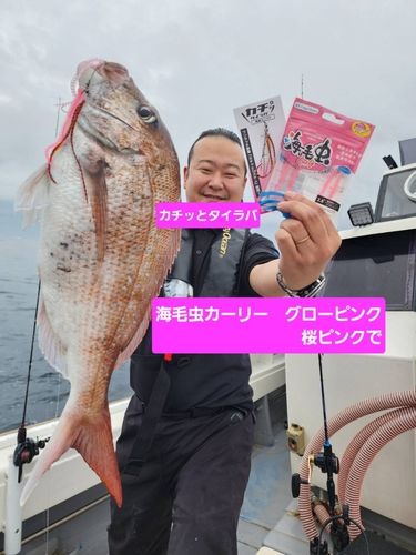 マダイ