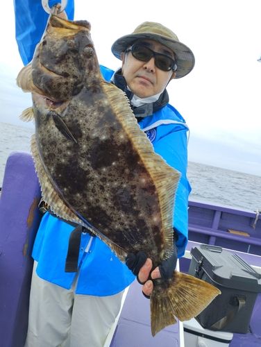 ヒラメの釣果