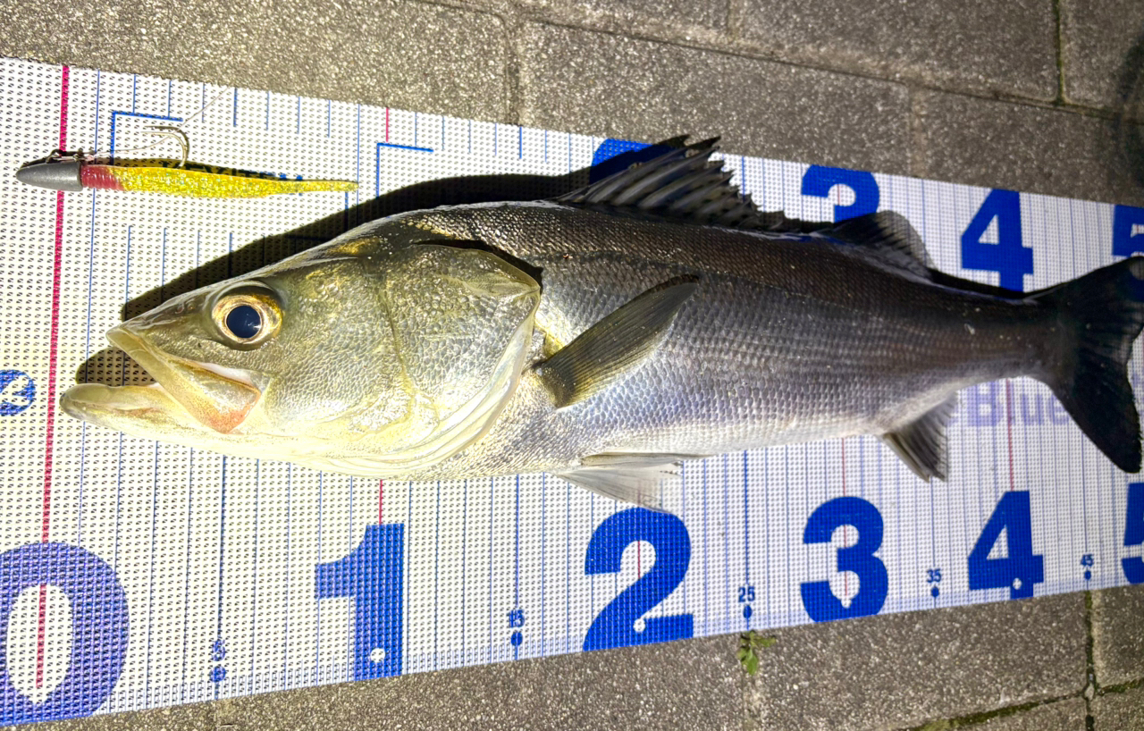 SHIMANO 23ストラディック 4000MHGの最安値・インプレ・釣果