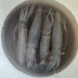 ヒイカ