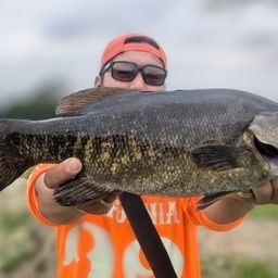 スモールマウスバス