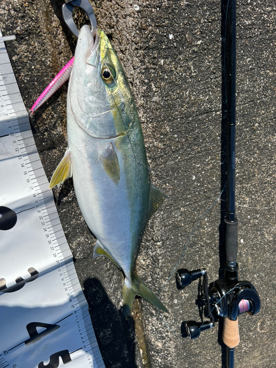 SHIMANO 23アンタレス DC MD XG LEFTの最安値・インプレ・釣果