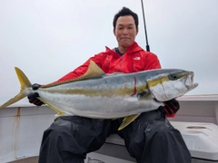 ヒラマサの釣果