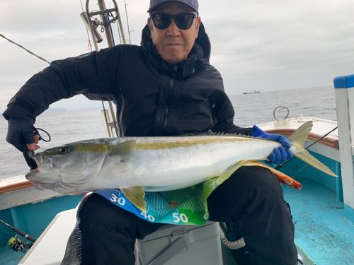 ヒラマサの釣果